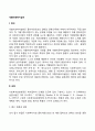 개별아동복지실천 2페이지