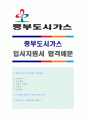 (2019년 중부도시가스 자소서) 중부도시가스 공채 자기소개서 합격예문 [중부도시가스 자소서 자기소개서 샘플중부도시가스자기소개서 지원동기] 1페이지