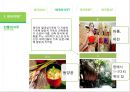 태국의 문화 예절태국이란태국 시장의 이해태국 소비자의 이해태국 사회문화태국 한류마케팅 사례 8페이지