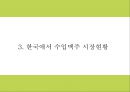 칭따오맥주 국내현황분석과 마케팅 SWOTSTP4P전략분석및 칭따오맥주 국내인지도 올리기위한 전략제시 PPT 8페이지