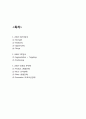 ZARA 자라 마케팅 SWOTSTP4P전략 분석 2페이지
