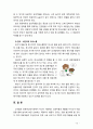 [2018 영유아교수방법론 B형] 상호작용의 유형을 설명하고 문제행동지도 상황에서의 상호작용의 적용을 구체적인 사례를 들어 설명하시오 10페이지