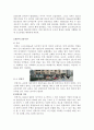 A+ 레포트 일본에 대한 과제- 일본의 교통수단 4페이지