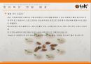 도토리전문점 사업계획서 5페이지