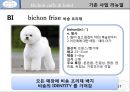 애견 카페 호텔 프랜차이즈 사업계획서 17페이지