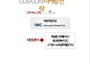코스트코 유통 구조와 마케팅경영전략 46페이지