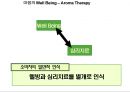 아로마 향용품아카데미 프랜차이즈 사업계획서 13페이지