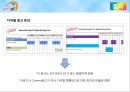 스키틀즈광고캠페인 사례분석 30페이지