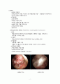 OR case 전방십자인대파열 4페이지