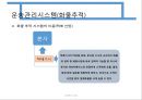 운송관리시스템 33페이지