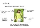 케라시스 Hair Clinic System 컨셉 신제품 및 런칭 프로모션 전략 19페이지
