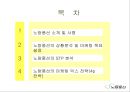 노랑풍선 여행사 마케팅전략 2페이지