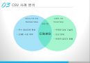 CSV의 개념과 사례 분석 26페이지