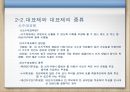 선거의 이해 13페이지