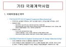 전략적 제휴와 국제계약사업 24페이지