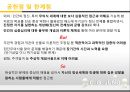 융 분석심리이론 정리 26페이지