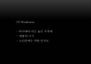 LG 트롬스타일러 마케팅 SWOTSTP4P전략분석과 제품기능분석및 LG 트롬스타일러 새로운 마케팅전략 제언 PPT 13페이지