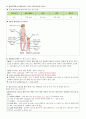 한림대 성심병원 면접질문  11페이지