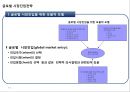 글로벌 시장진입전략 3페이지