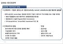 글로벌 시장진입전략 30페이지