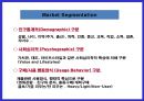 소비자 니드에 따른 시장 세분화 11페이지