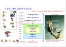 기술마케팅 25페이지