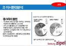 삼성 냉장고 신제품 마케팅 기획 11페이지