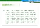 아동복지의 이해 19페이지