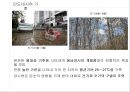 인도네시아 10페이지