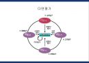 인사평가의 기법 및 유형 15페이지