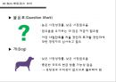 제품포트 폴리오 PPM(Product Portfolio Management) & BCG Matrix 12페이지