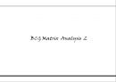 제품포트 폴리오 PPM(Product Portfolio Management) & BCG Matrix 22페이지