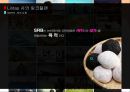 Needham사의 ROI Lintas사의 링크플랜 14페이지