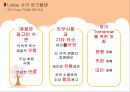 Needham사의 ROI Lintas사의 링크플랜 20페이지