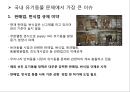 국내 유기동물과 관련된 이슈와 개선방안 6페이지