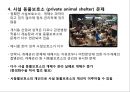 국내 유기동물과 관련된 이슈와 개선방안 11페이지