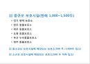 국내 유기동물과 관련된 이슈와 개선방안 27페이지