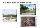국내 유기동물과 관련된 이슈와 개선방안 45페이지
