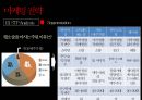 클라우드맥주 마케팅전략 15페이지