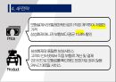 삼성화재 애니카 다이렉트 마케팅전략 24페이지