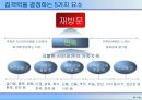 테마파크 개발의 이해 19페이지
