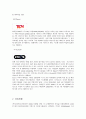 다음커뮤니케이션에 대해서 12페이지