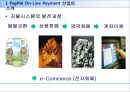 페이팔의 온라인 결제전략 PayPal On-Line Payment 3페이지