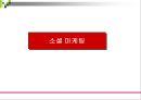 프로모션과 마케팅 전략사례분석 43페이지