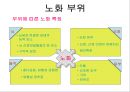 노화를 지연시키는 생활(라이프스타일) 10페이지