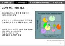 제품 개발 프로젝트들에 대한 지속적인 의사결정 프로세스PPM 9페이지