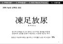 제품 개발 프로젝트들에 대한 지속적인 의사결정 프로세스PPM 43페이지