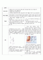 성인간호학 실습 case study chronic renal failure 만성신부전 케이스 스터디 간호진단 3개 간호중재 이론적근거 교수님께서 극찬해주신 자료 7페이지
