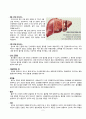 성인간호학 실습case studyHCC with bone meta간암문헌고찰간호진단 3개간호중재이론적근거MMSE일상생활수행도구낙상사정평가욕창사정평가 등 4페이지