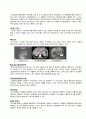 성인간호학 실습case studyHCC with bone meta간암문헌고찰간호진단 3개간호중재이론적근거MMSE일상생활수행도구낙상사정평가욕창사정평가 등 7페이지